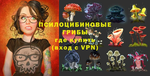 твердый Абаза