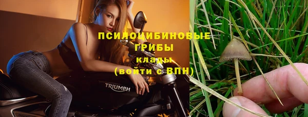 сатива Алзамай